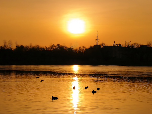 一亩园冬韵:湖漾冰凝冬生趣,花卉霜缀笑含春